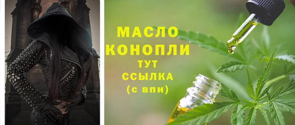 мдпв Осташков