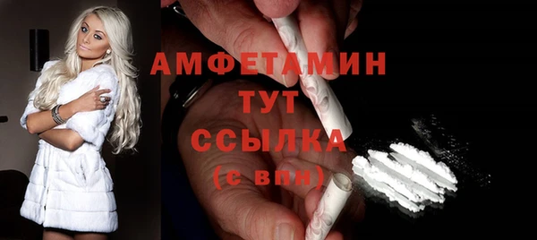 мдпв Осташков