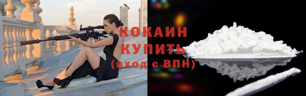 мдпв Осташков