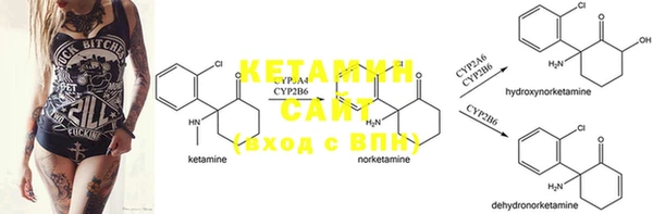 PSILOCYBIN Волоколамск