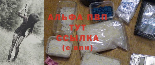 мдпв Осташков