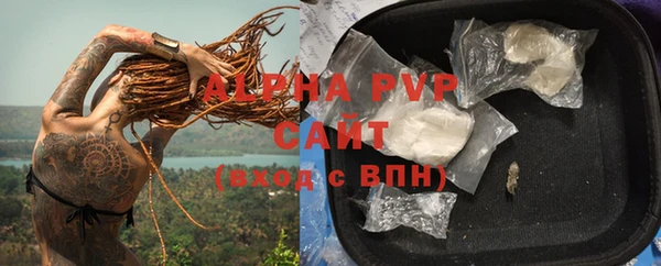 мдпв Осташков