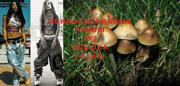 PSILOCYBIN Волоколамск