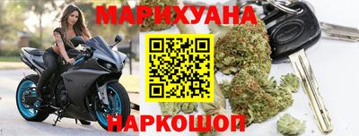 крисы Кингисепп
