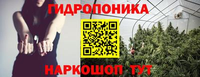 спайс Кимры