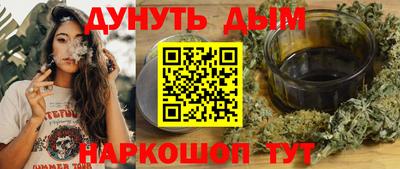 крисы Кингисепп