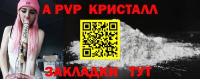 крисы Кингисепп