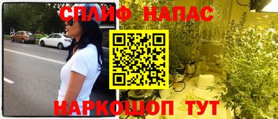 крисы Кингисепп