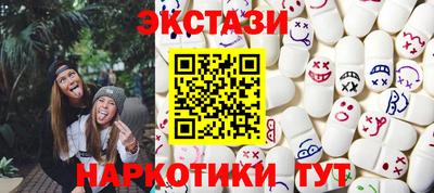 крисы Кингисепп