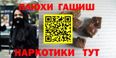 крисы Кингисепп