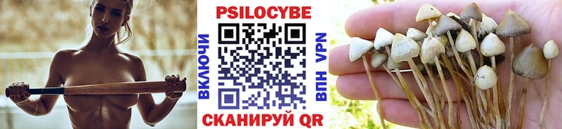 Галлюциногенные грибы ЛСД  mega как зайти  Партизанск 