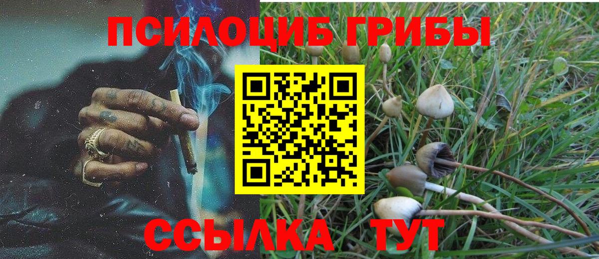 Псилоцибиновые грибы мухоморы Партизанск